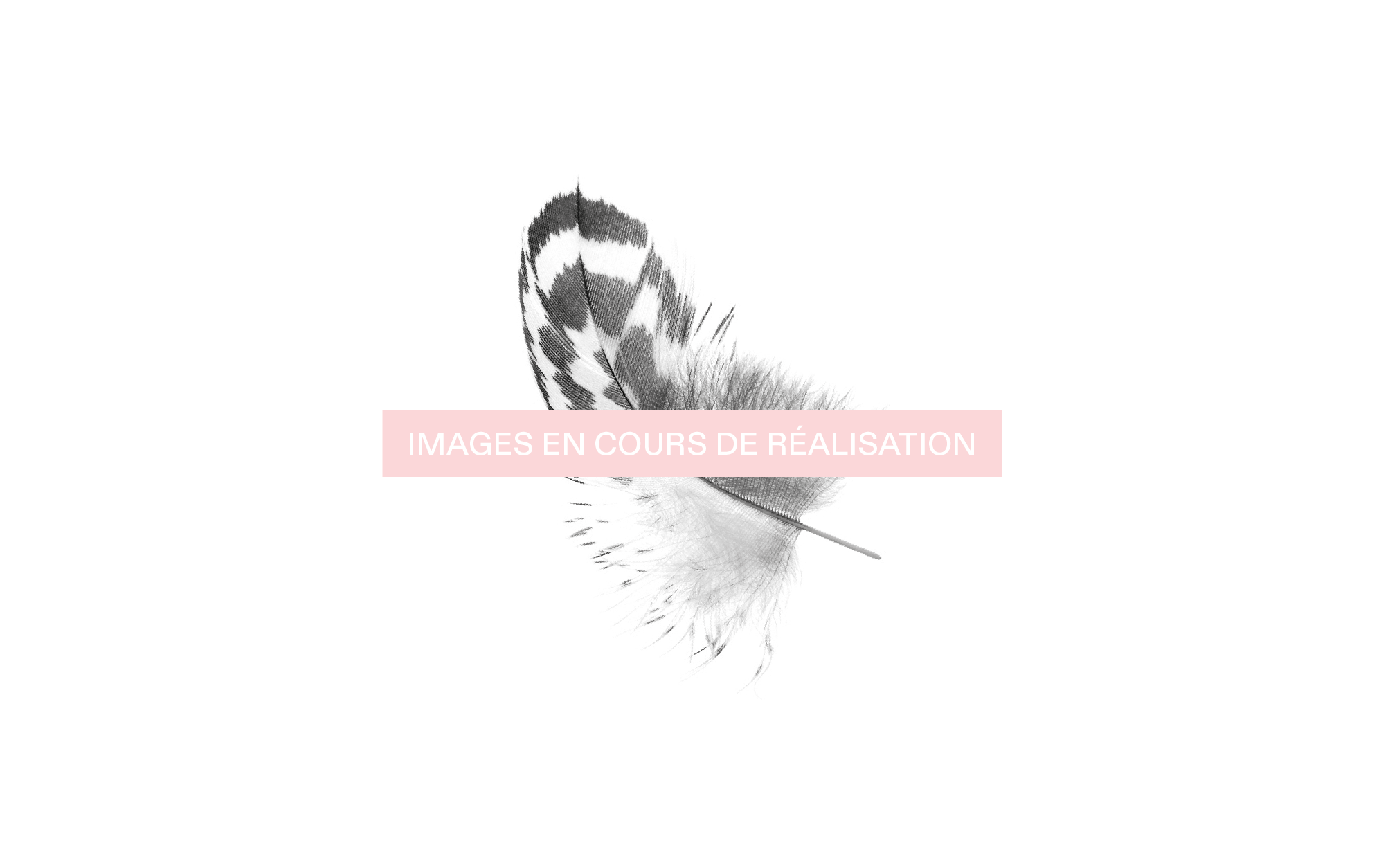 Image Soon 00c