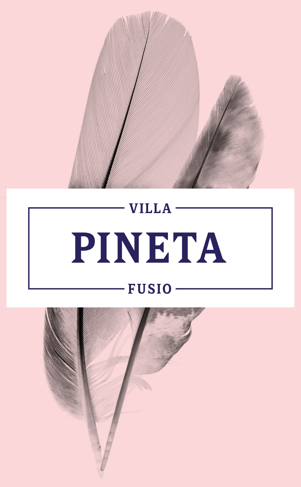 logo-Villa-Pineta-001b